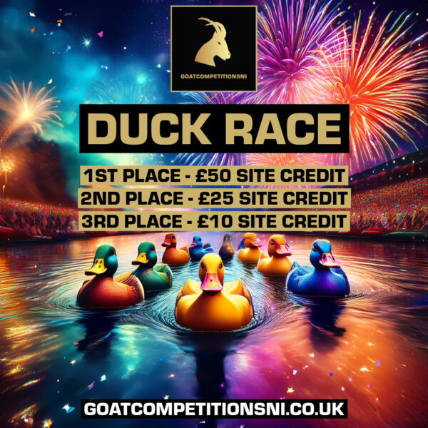 FREE DUCK RACE - TOP 3 PLACES RECEIVE A PRIZE!!